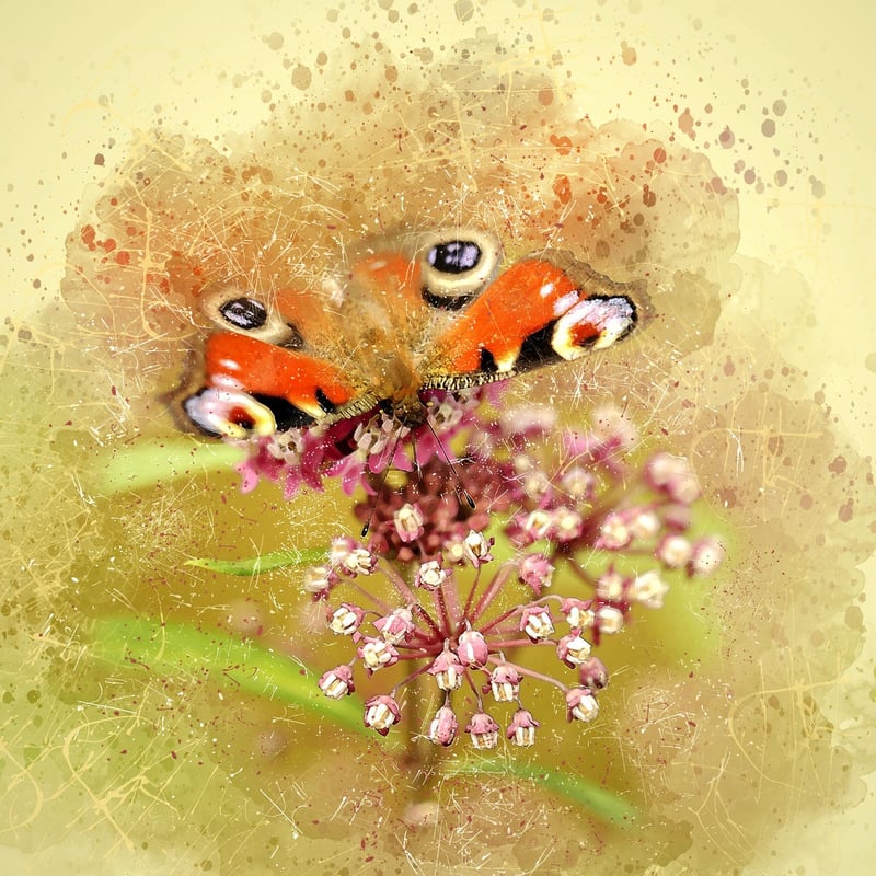 Botanical Creations